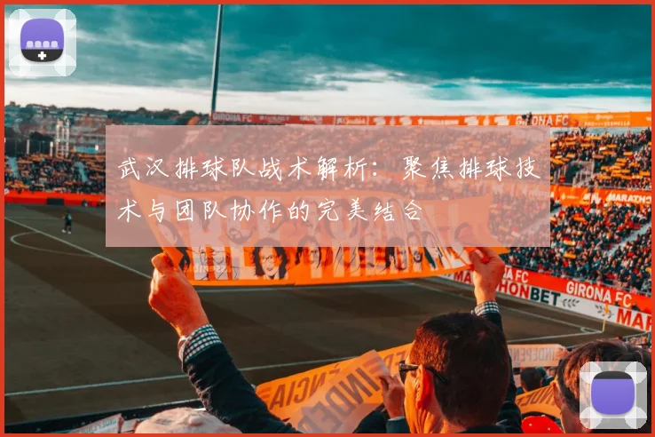 武汉排球队战术解析：聚焦排球技术与团队协作的完美结合