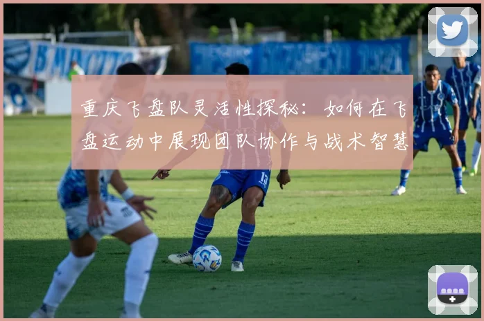 重庆飞盘队灵活性探秘：如何在飞盘运动中展现团队协作与战术智慧