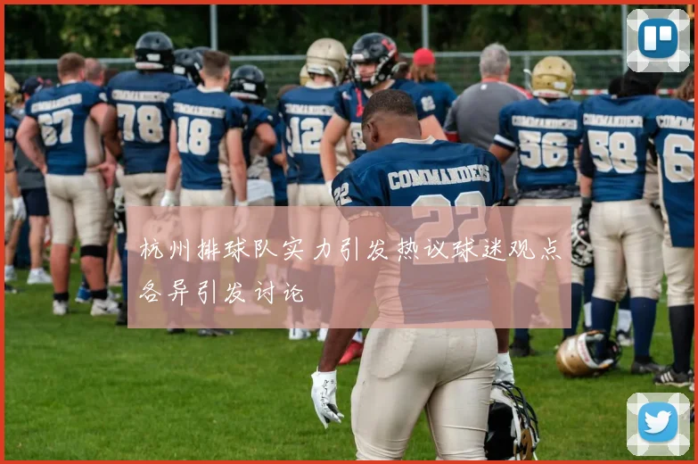 杭州排球队实力引发热议球迷观点各异引发讨论